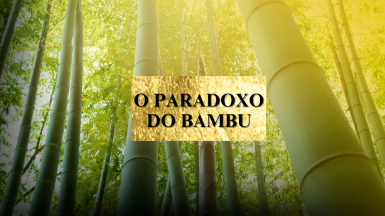 Paradoxo do bambu: a espera dos resultados na vida